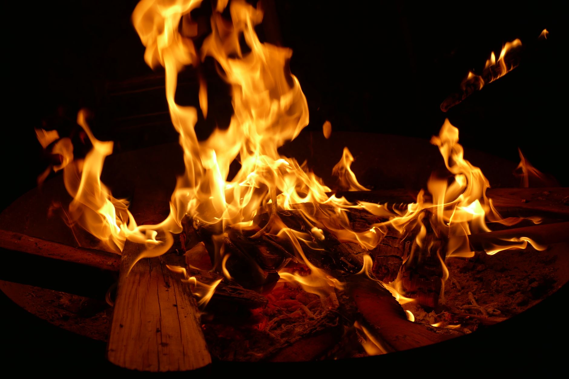 Tampilan dekat api unggun yang menyala dengan kayu bakar dan nyala api yang menari.