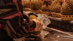 Seseorang yang menangani buah durian dengan hati-hati di lingkungan pasar.