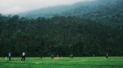 Pemain kriket bermain di lapangan hijau subur dikelilingi hutan di Sylhet, Bangladesh.