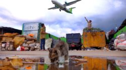Sebuah pemandangan dinamis di Bandung dengan seekor anak kucing, para pekerja, dan sebuah pesawat terbang di atas tempat pembuangan barang rongsokan.