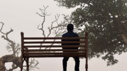 Orang yang duduk sendirian di bangku di luar ruangan yang berkabut, dikelilingi pepohonan.