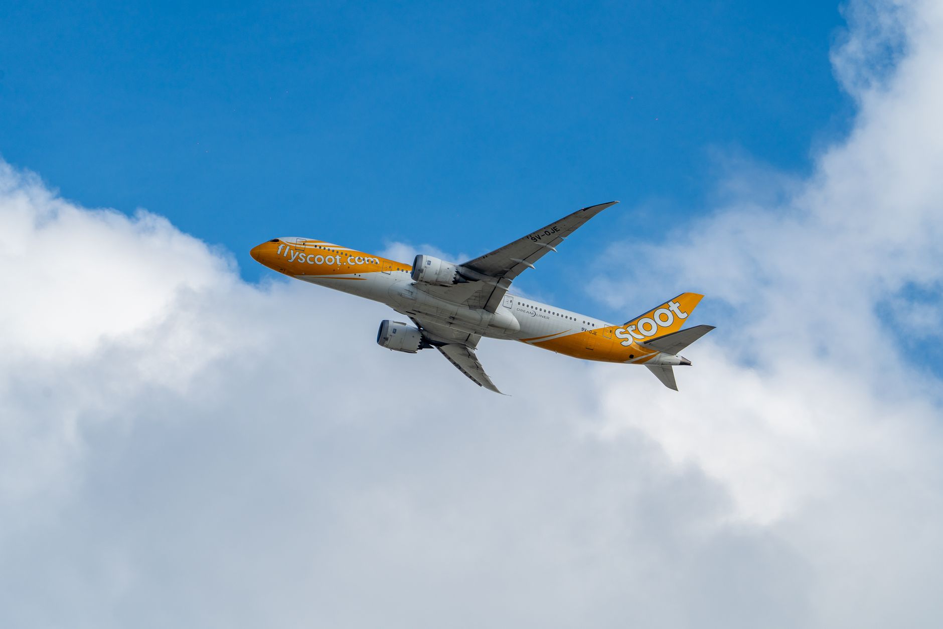 Sebuah pesawat flyscoot terbang menembus langit biru cerah dengan awan halus.
