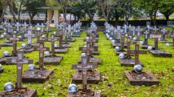 Pemandangan tenang dari pemakaman militer di Jakarta yang menampilkan nisan salib dan pepohonan yang subur.
